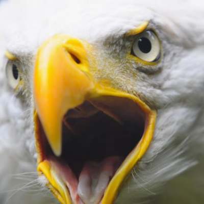 10 ways to express&nbsp;anger