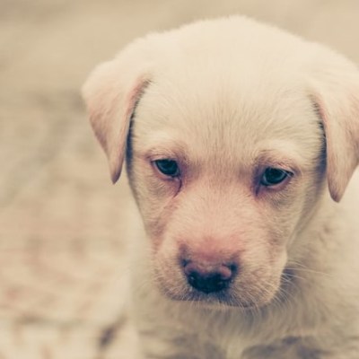 10 ways to say&nbsp;sorry